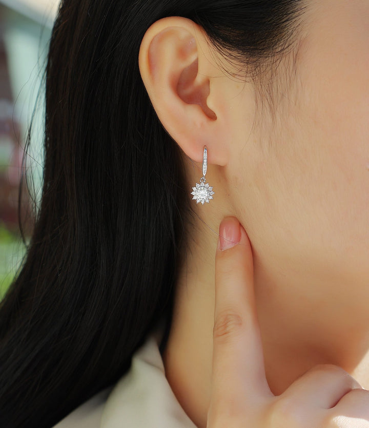 Qingcheng Moissanite Earrings Set - Zenoora